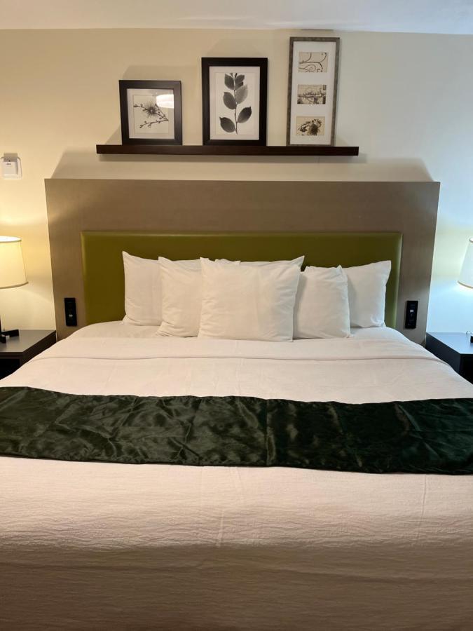 Pictured Rocks Inn And Suites Munising Exteriér fotografie